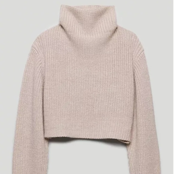 Aritzia Wilfred⎜MONTPELLIER WAIST TURTLENECK⎜HEATHER TRACE - Picture 5 of 13